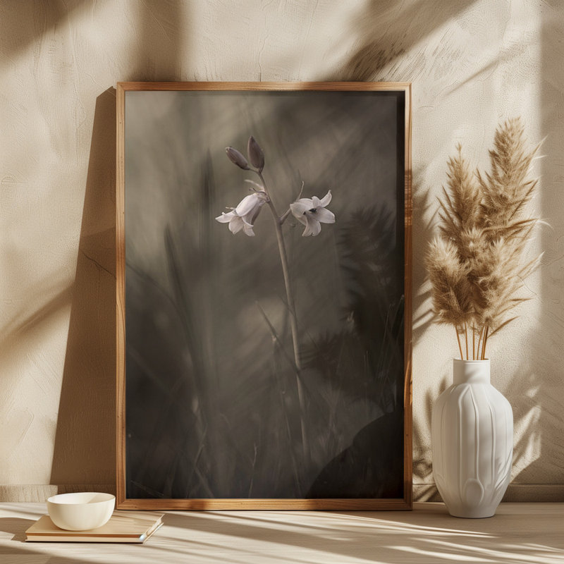 Wrapped Canvas Print, 50.8 cm H x 76.2 cm W