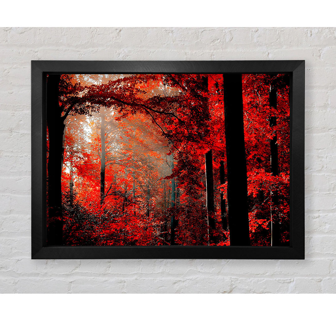 Red Forest Delight - Druck