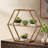 Hexagonal Shelf