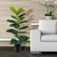 56 Inch Rubber Plant in Deco Black Metal Planter