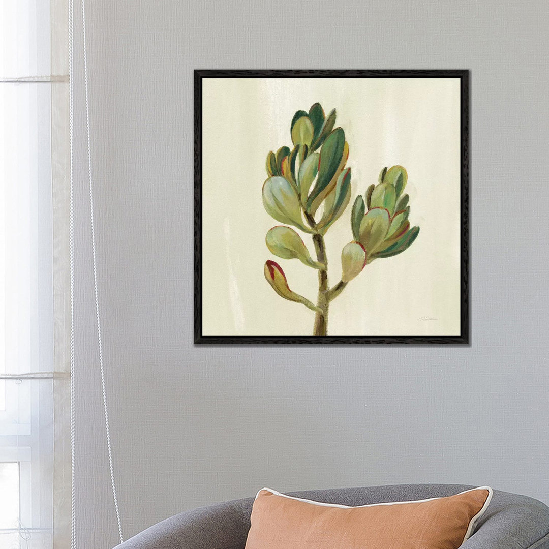 Front Yard Succulent II von Silvia Vassileva - Galerie-umwickelte Leinwand Giclée auf Leinwand