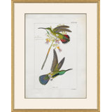 Hummingbirds Giclee Print