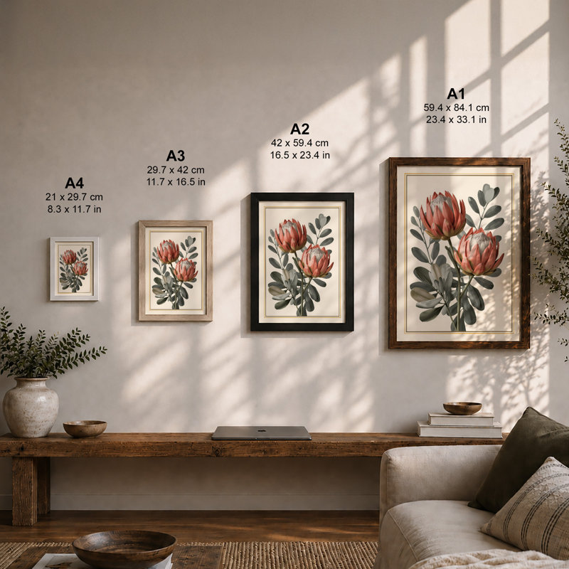 Protea Studies Botanical - Framed Print, Oak, A4 - 29.7 x 21.0 cm