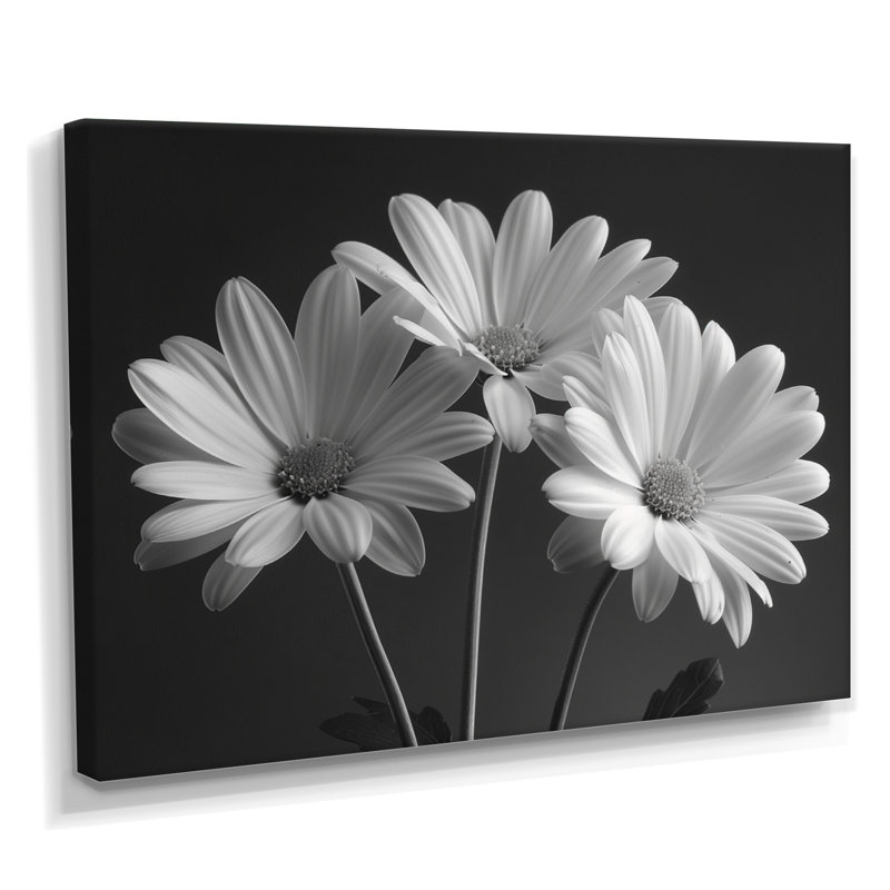 Monochrôme noir et blanc, bonheur, photo IV - marguerites, art mural, H 40 po x l 60 po, Toile tendue