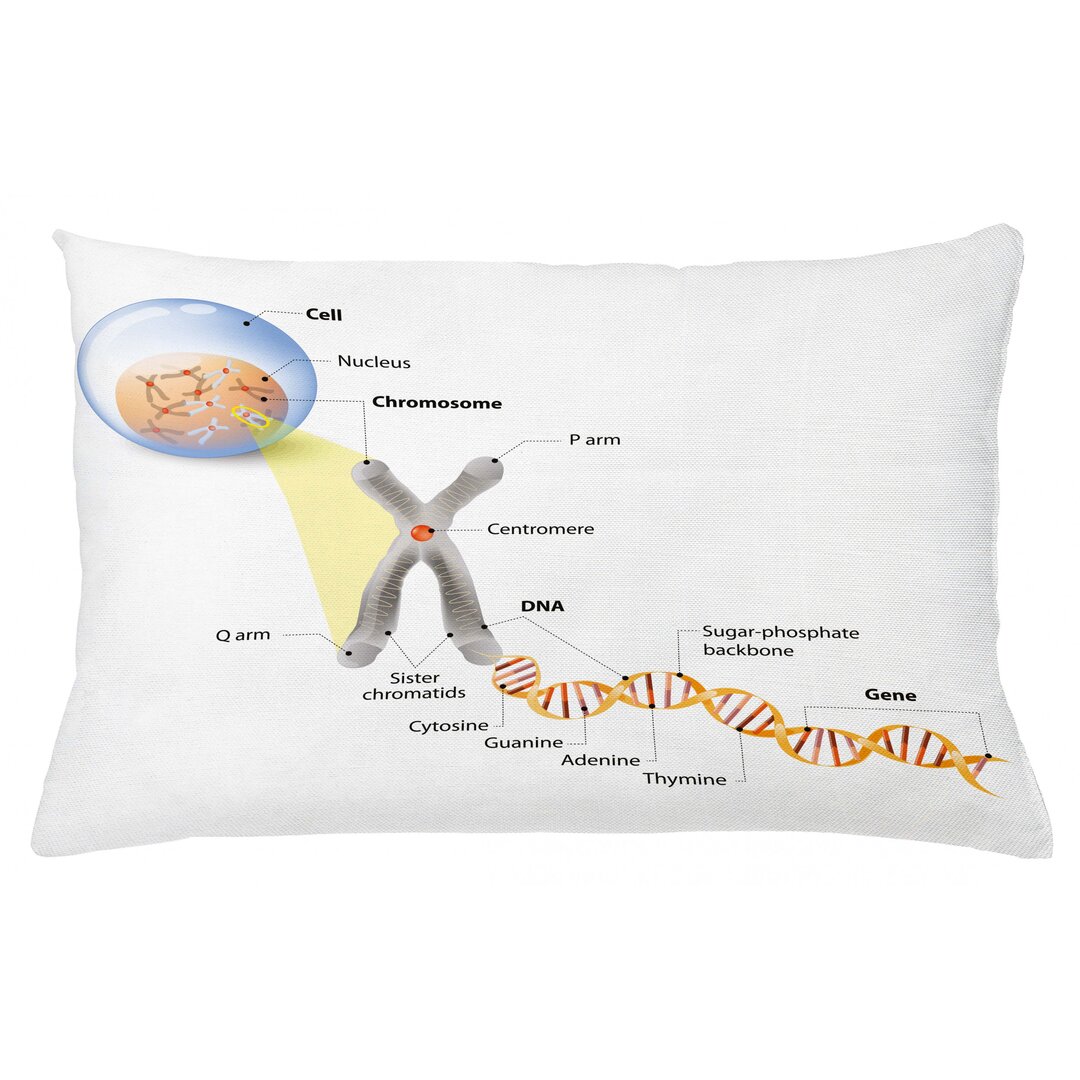 Kissenbezug, DNA Gene Genom, Lehrreich, Mehrfarbig