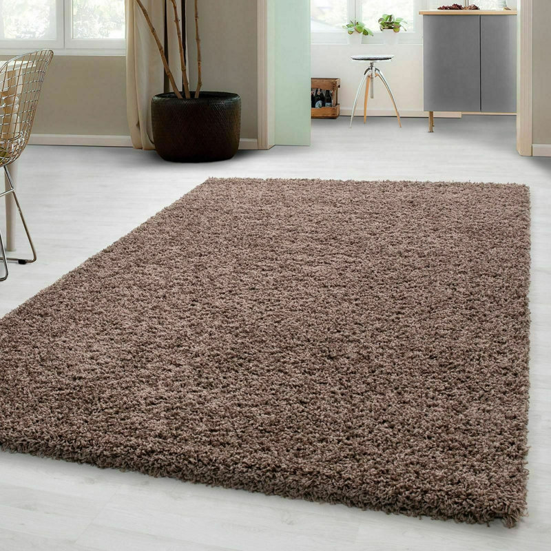 Aanuoluwa Solid Colour Shag 120cm X 170cm Indoor / Outdoor Area Rug