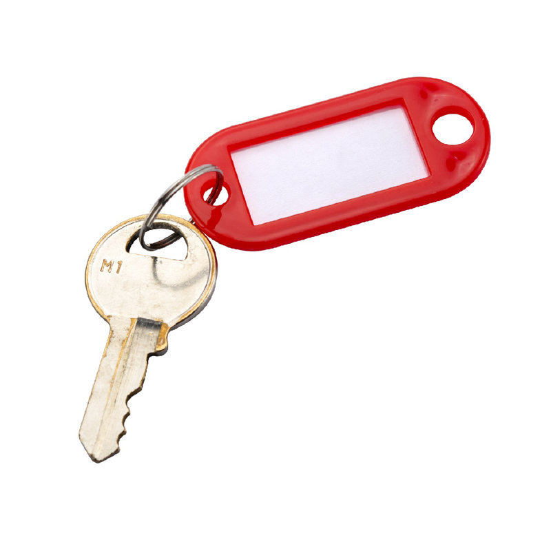 Assorted Color Plastic Key Tags with Write-On Labels - 100 Pack