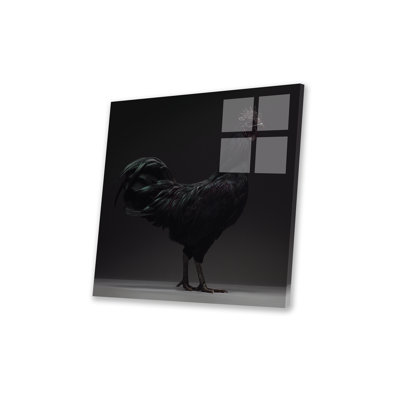 " Ayam Cemani " by CHICken