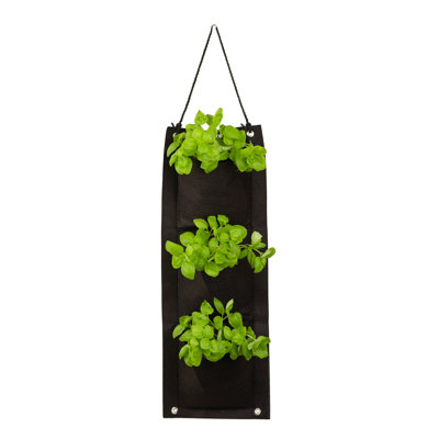 Organic Herb Seed Hanging Planter Bag Kit-Basil