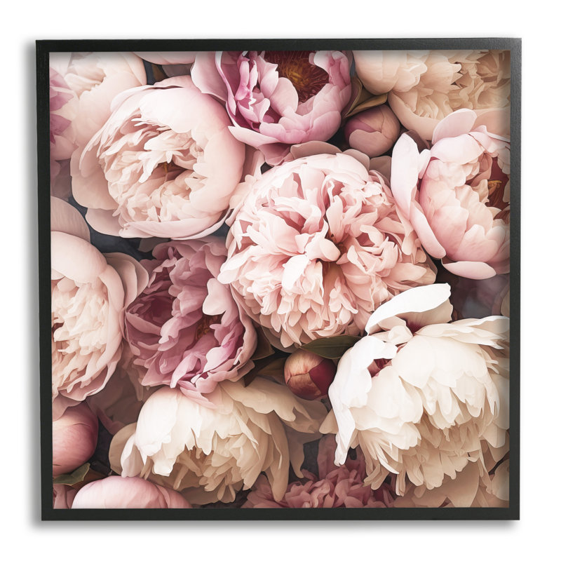«Mixed Pe pivoes», estampe numérique encadrée par Riley B, Giclée encadrée noir minuit, H 24 po x l 24 po x P 1,5 po
