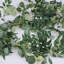 Guirlande Eucalyptus et brindilles artificielles-722761149