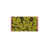 Yellow is out of stock