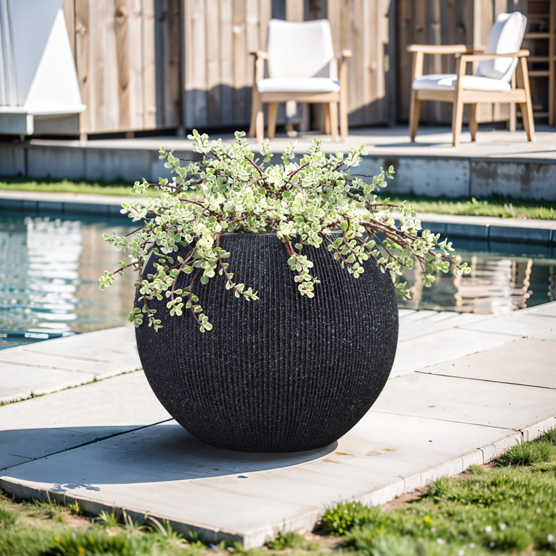 Anjonette 14.5'' D Round Bowl Black Planter, Mediterranean Style Plastic Plant Pot, Black