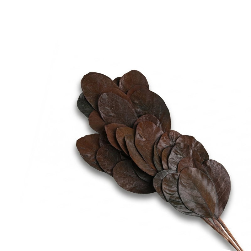 Katal Leaves 6Pc Paper Poly