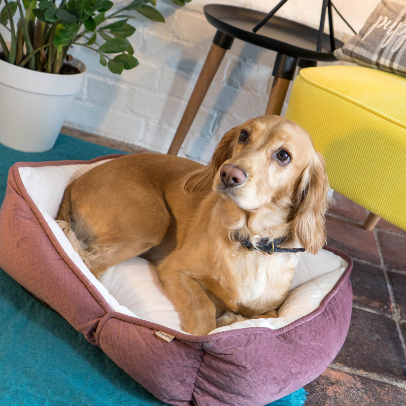 Aranza Geometric Polyester Pet Bed, 18cm H x 50cm W x 40cm D