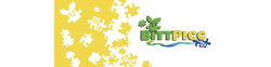 BittPicc logo