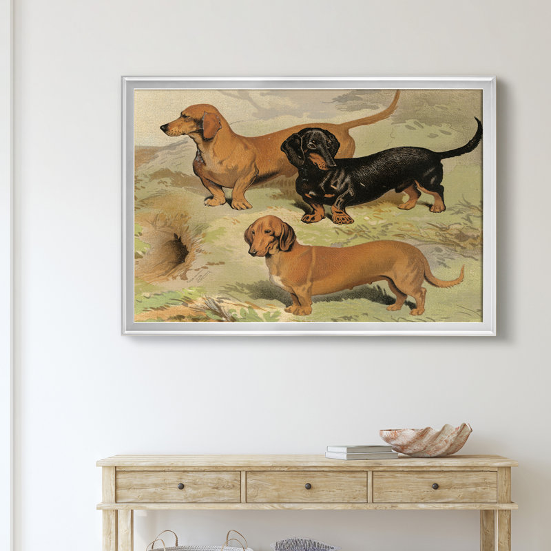 Dachsunds - reproduction d'art sur toile, Argent, H 30,5 po x l 42,5 po x P 1,5 po