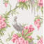 Rouleau de papier peint L 33 pi x l 20,5 po Alondra Pheasant-1629633155