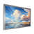 Silver Single Picture Framed