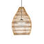 Fishtrap 1 - Light Pendant