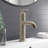 Gibson Single Hole Bathroom Faucet with Drain Assembly-36902598