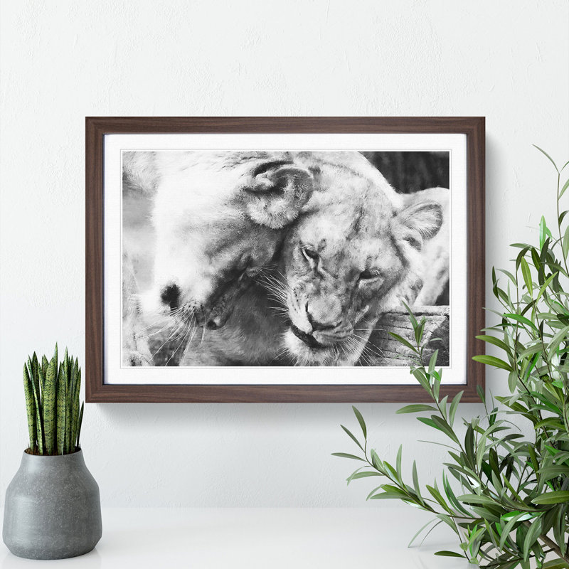 Two Snuggling Lions 1 Piece Single Picture Frame Wall Art on MDF, 45cm H x 63cm W x 2cm D, Walnut