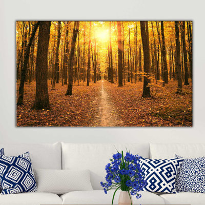 " Fall Forest "