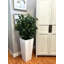Olive Tree Artificial in Fiberstone Planter