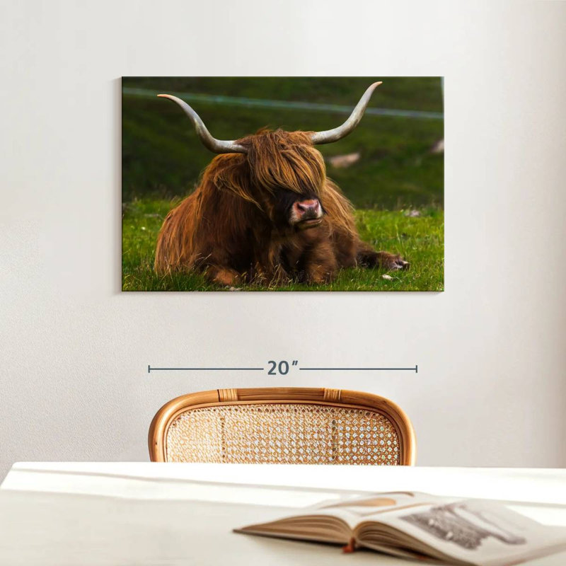 Highland Cow On Grass, 16" H x 24" W