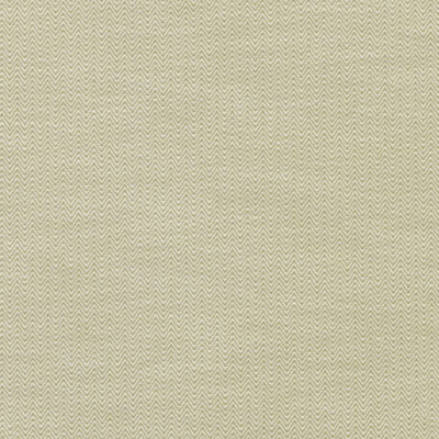 Kennewick 100% Cotton Fabric, Moss