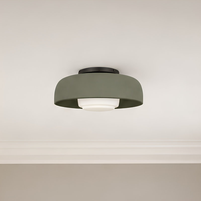 1 - Light Flush Mount, Aged Iron, Sage