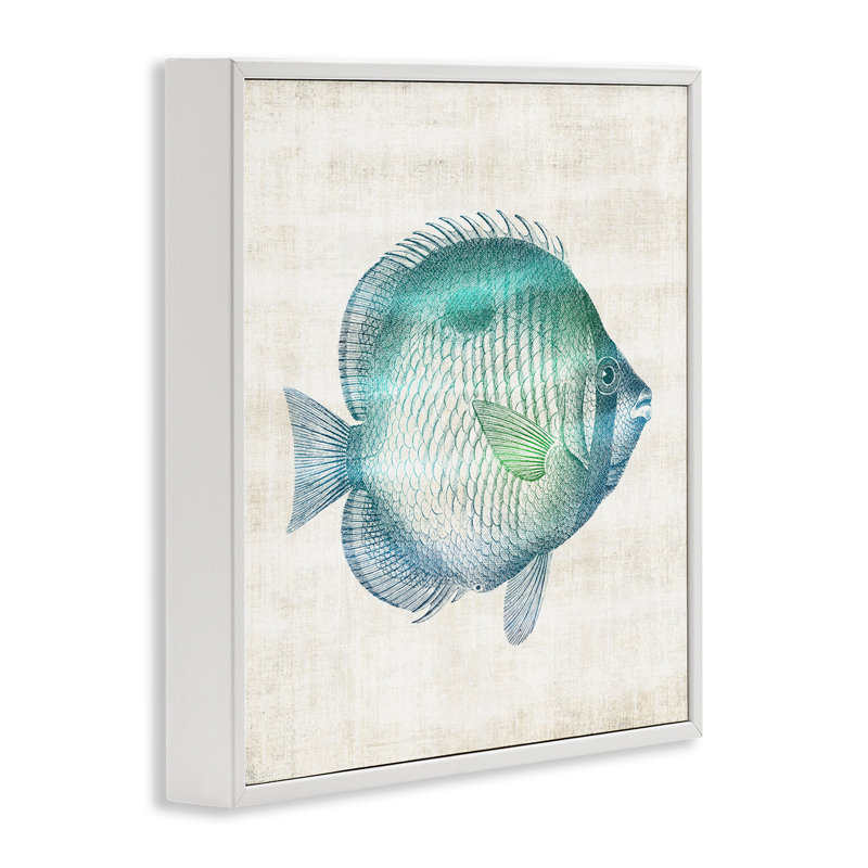 Impression de poisson, Sea Life, giclée encadrée, conception par Susan Arnot, H 17 po x l 17 po
