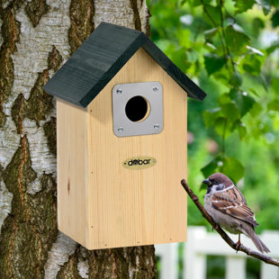 Mounted Bird House