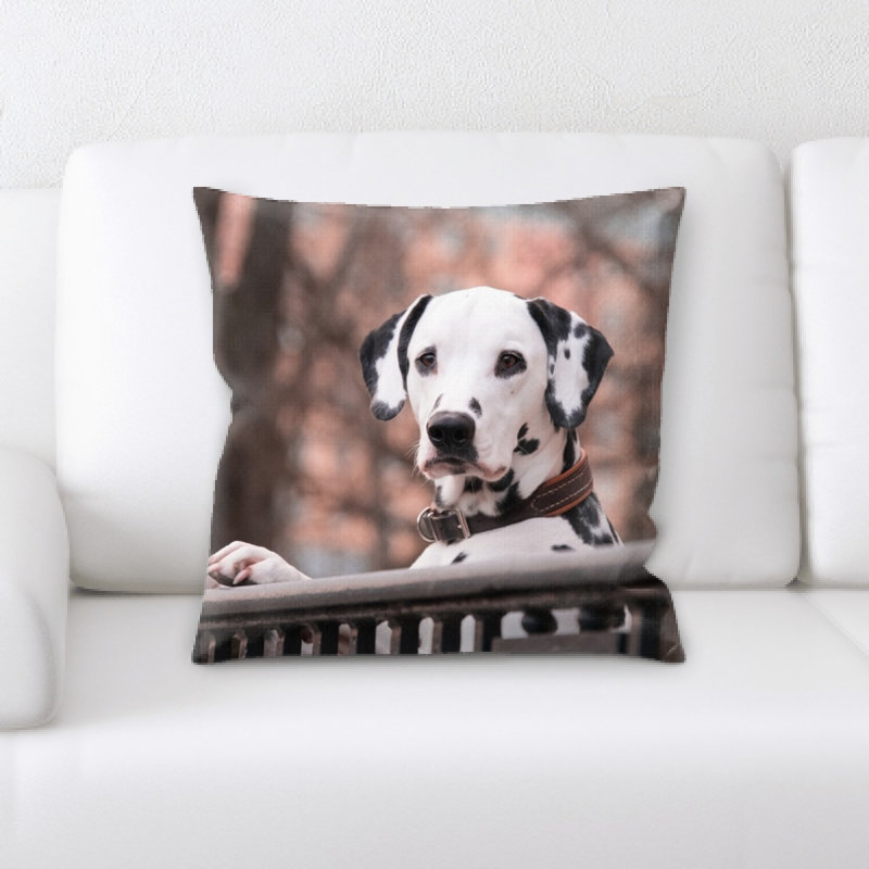 Coussin dalmatians