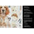 Orange Belton English Setter Coffee Bar Kitchen Towel-1168063351