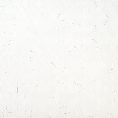 Carreau de mosaïque en porcelaine mate pour plancher et mur 12 po x 12 po Belvia Hexagon