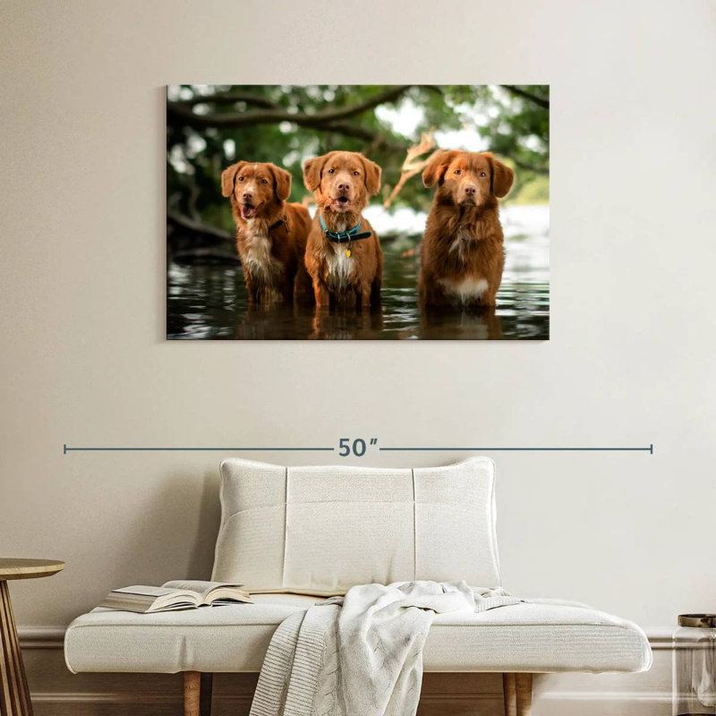 Brampt Tollers In The Water, 26" H x 39" W