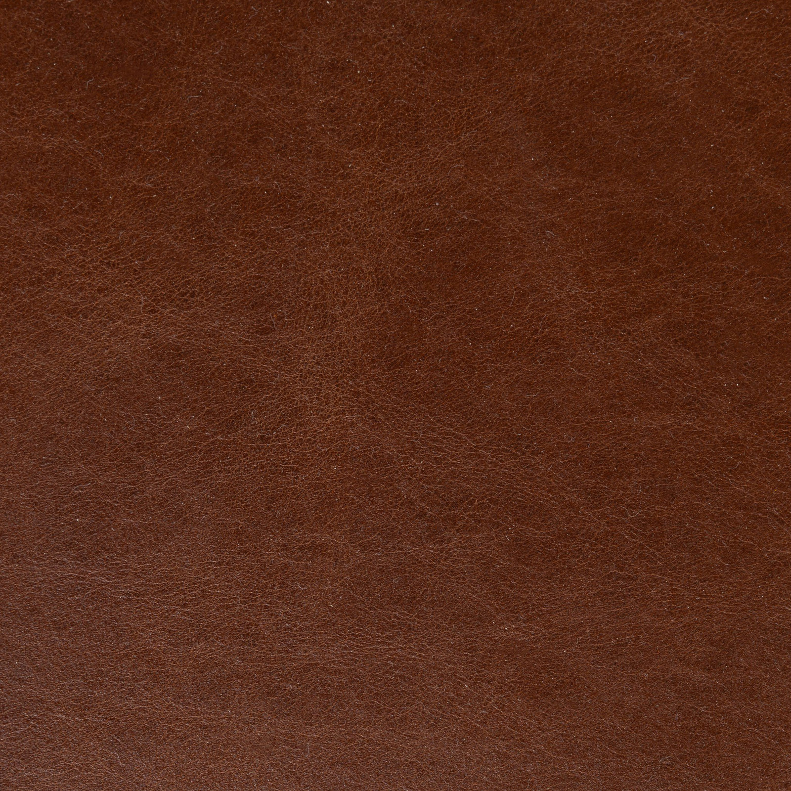 Marna Dining Chair-Dulane Mahogany