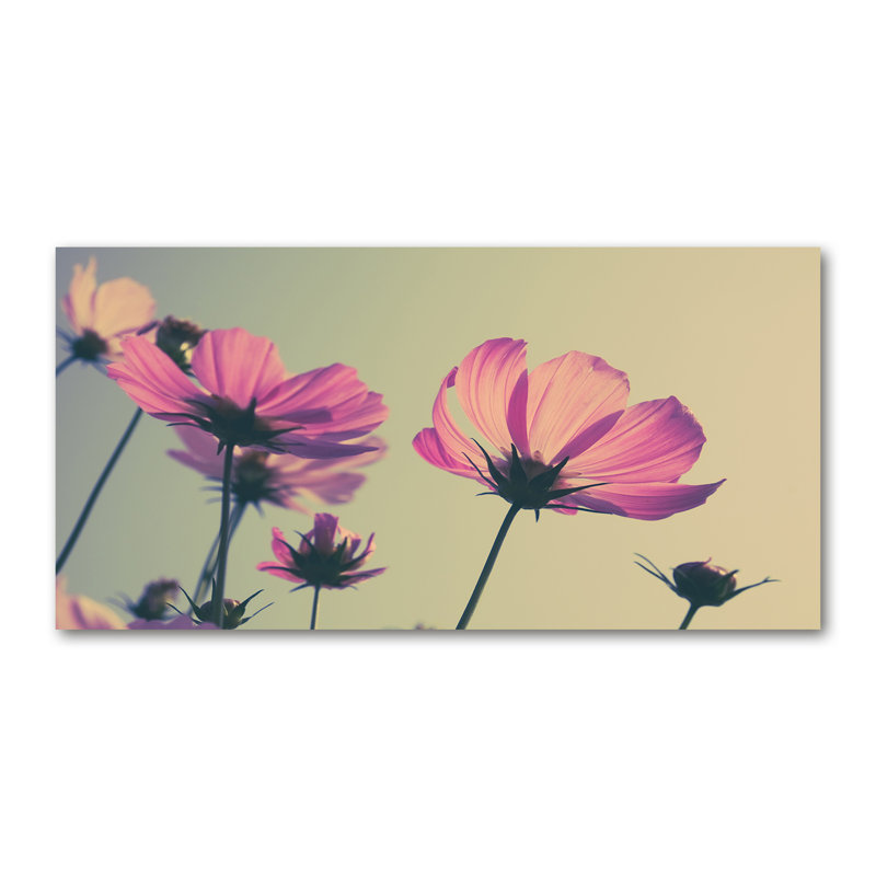 Pink Flowers - Wrapped Canvas Print