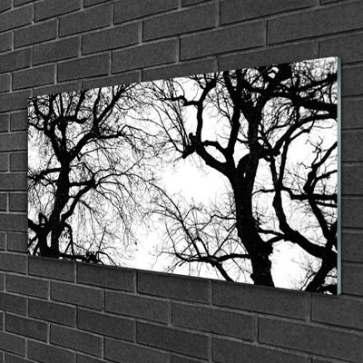 Trees - No Frame Print on Glass