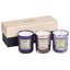 Poised Pink, Luscious Lavender, Mischievous Mauve Scented Jar Candle