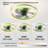 Ceiling Fans With Lights Dimmable LED Embedded Installation Of Thin Modern Ceiling Fans-961413311