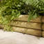 18cm H x 100cm W Wood Lawn Edging