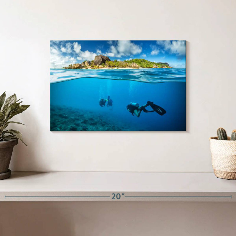 Sireci Diving, 8" H x 12" W