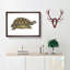 Tortoise by George Shaw - Picture Frame Painting Print on MDF-55642129-55642127