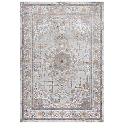 Oriental Indoor Rug