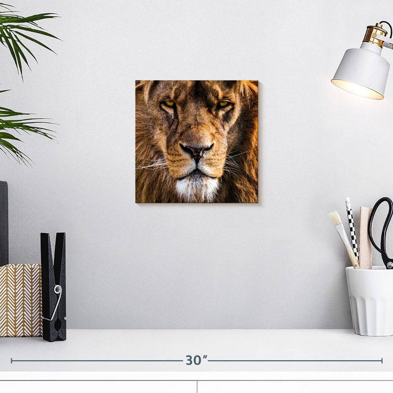 Tête de lion Brampt Regal, H 10 po x l 10 po
