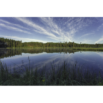 Peaceful lake and forest landscape