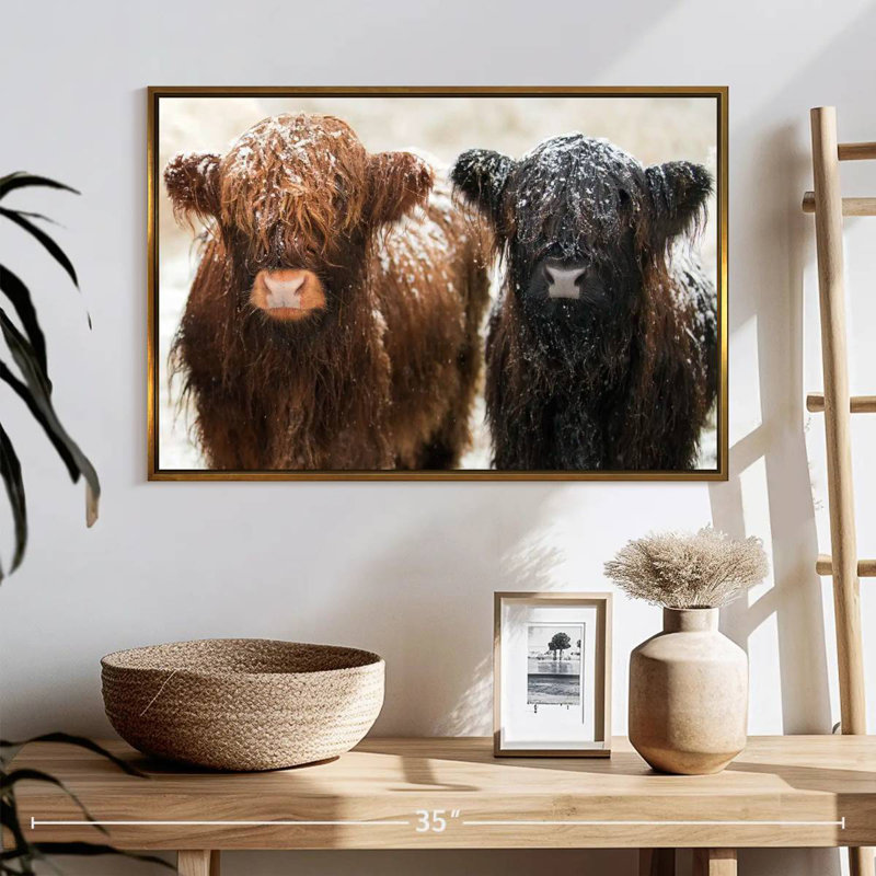 Poilu Highland Cows, 25 po x 17 po, Cadre flottant doré