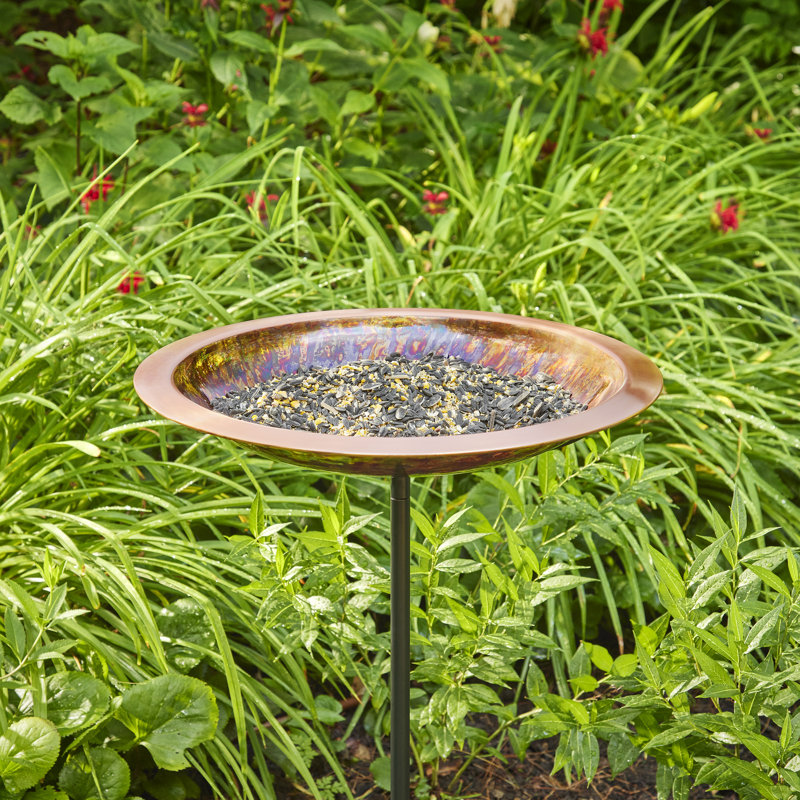 Bain d'oiseaux sur piédestal Brodhead